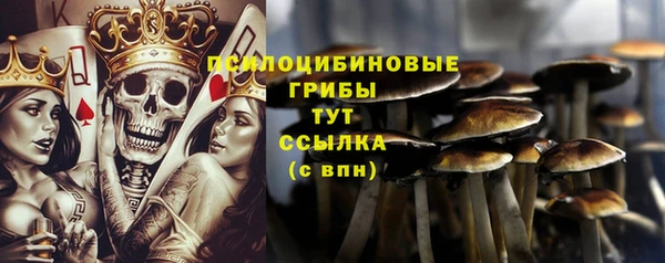 a pvp Михайлов