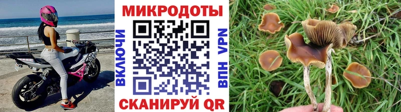 Псилоцибиновые грибы MAGIC MUSHROOMS  Крым 